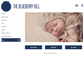 The Blueberry Hill reviews